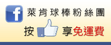 壘球棒